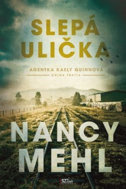 Slepá ulička / Nancy Mehl